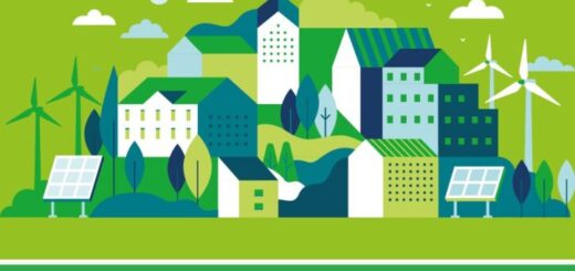 Zest Report front cover